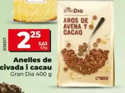 Dia Gran Dia aros de avena y cacao oferta