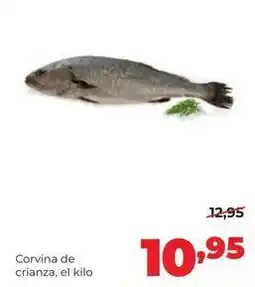 Alimerka Alimerka - corvina de crianza oferta