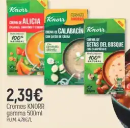 Coaliment Knorr cremes gamma oferta