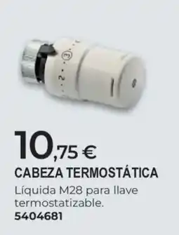 BigMat Cabeza termostática oferta