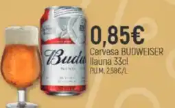 Coaliment Budweiser oferta