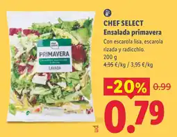 Lidl Chef Select ensalada primavera oferta