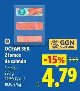 Lidl Ocean Sea 2 lomos de salmón oferta
