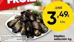 FROIZ Mejillón selection kg oferta