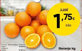 FROIZ Delta - naranja oferta