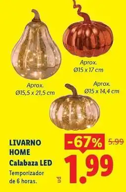 Ocine Livarno - home calabaza led oferta
