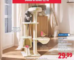 Lidl Max & Mila's World Árbol rascador oferta