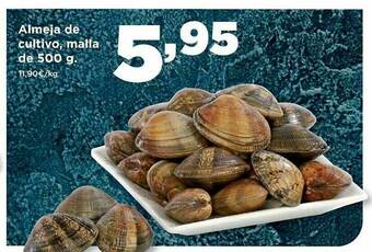 Alimerka Almeja De Cultivo, Malla oferta