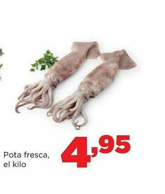 Alimerka Pota Fresca oferta