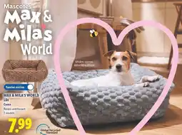 Lidl Standard - max & milas world oferta