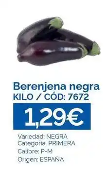 Dialsur Cash & Carry Berenjena negra origen: españa oferta