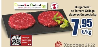 FROIZ Burger Meat de Ternera Gallega elaboración propia kg oferta