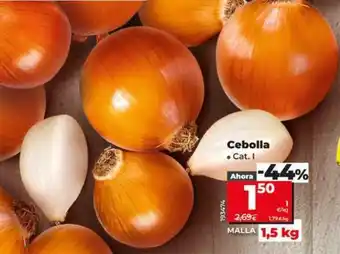Dia Cebolla oferta