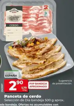 Dia Seleccion de dia - panceta de cerdo oferta