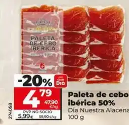 Dia Dia nuestra alacena - paleta de cebo iberica 50% oferta