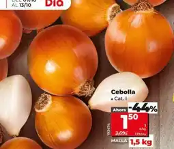 Dia Cebolla oferta