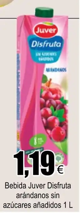 FROIZ Juver Disfruta Bebida arándanos sin azúcares añadidos 1 L oferta