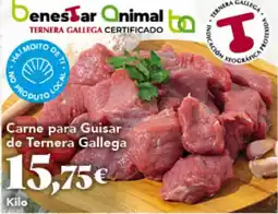 Gadis BenesTAR Animal Carne para Guisar de Ternera Gallega oferta