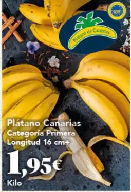 Gadis Plátano Canarias oferta