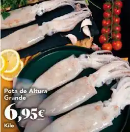 Gadis Pota de altura grande oferta