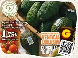 Gadis Color trend - aguacate ecologico oferta