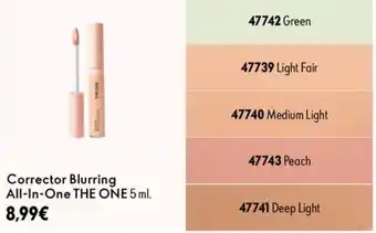 THE ONE Corrector Blurring All-In-One