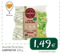 Valvi Supermercats Campnatur amanida pla de grau oferta