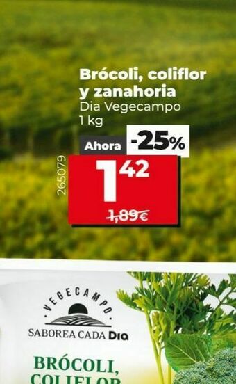 Dia Brócoli, coliflor y zanahoria oferta