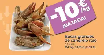 Bocas grandes de cangrejo rojo