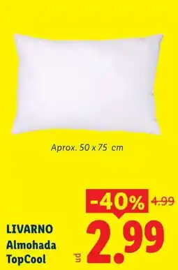 Lidl Livarno Almohada TopCool oferta