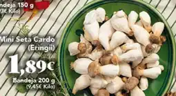 Gadis Mini Seta Cardo oferta