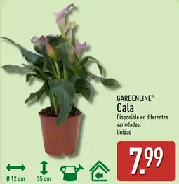 ALDI Gardenline cala oferta