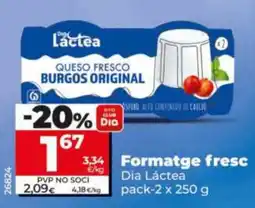 Dia Dia Lactea queso fresco burgos original oferta