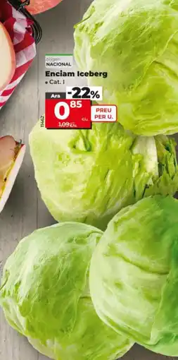 Dia Enciam iceberg oferta