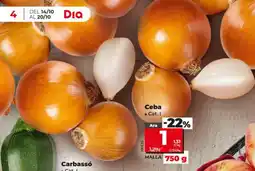 Dia Ceba oferta