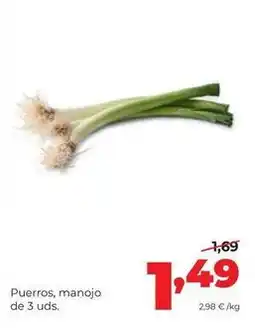 Alimerka Puerros, manojo de 3 uds oferta