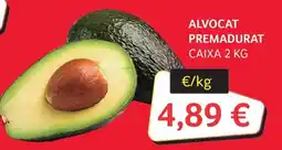 GM Cash & Carry Alvocat premadurat oferta