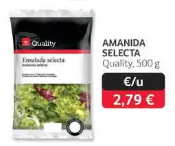 GM Cash & Carry Quality ensalada selecta amanida selecta oferta