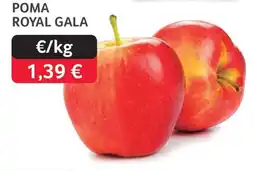 GM Cash & Carry Poma royal gala oferta