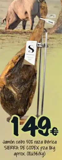 Cash Fresh Sierra de Codex jamón cebo 50% raza ibérica oferta