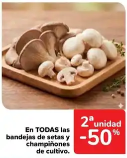 Carrefour En todas las bandejas de setas y champiñones de cultivo. oferta