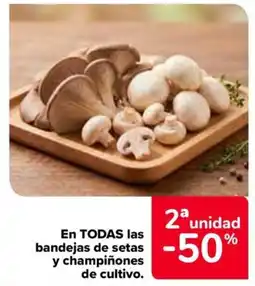 Carrefour Market Bandejas de setas y champiñones de cultivo oferta