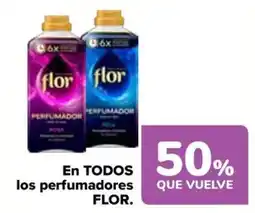 Carrefour Flor perfumadores oferta
