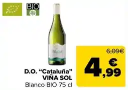Carrefour Market Viña Sol oferta