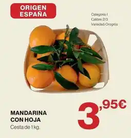 Supercor Origen - mandarina con hoja oferta