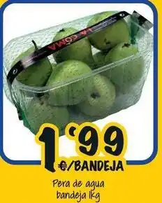 Cash Fresh Pera de agua bandeja oferta