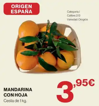 Mandarina con hoja