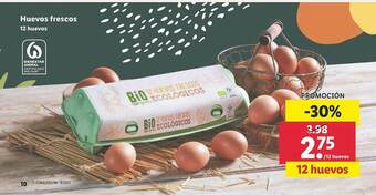 Lidl Huevos Frescos oferta