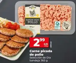 Dia Seleccion de dia - carne picada de pollo oferta
