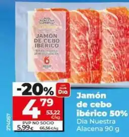Dia Dia nuestra alacena - jamón de cebo ibérico 50% oferta